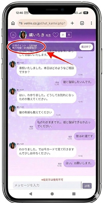 ポイント残高確認画面